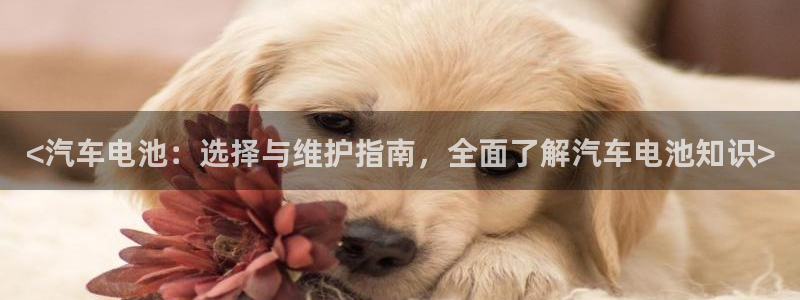 优发国际官网平台