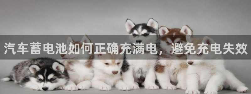 优发国际平台app下载安装