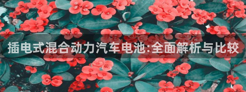 优发国际线上娱官网