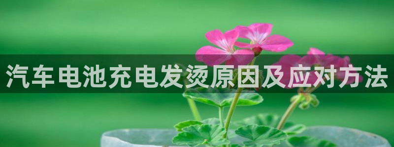 优发国际的官网是什么软件