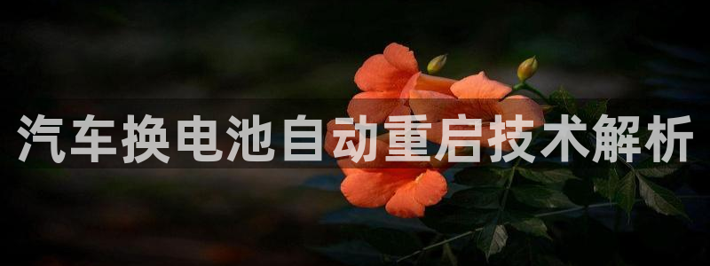 优发国际多少钱