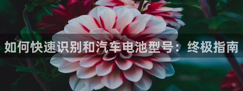 优发国际游戏网站