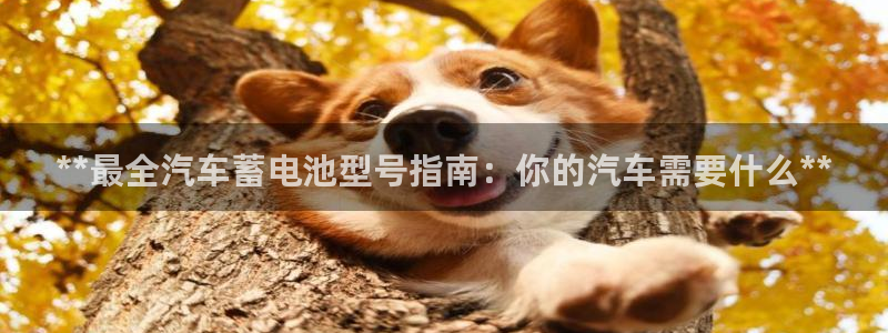 优发国际手机版客户端