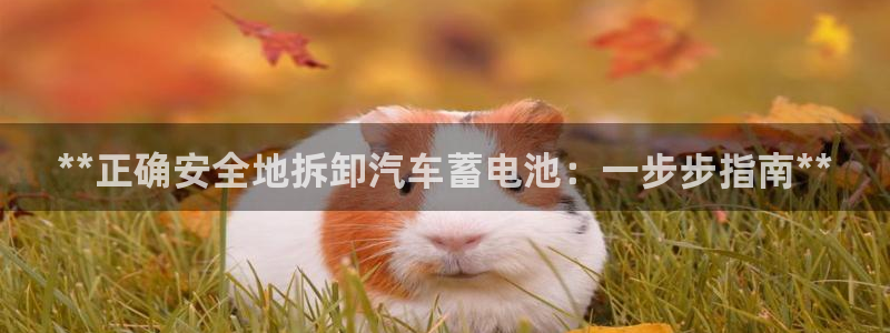 优发国际官方网手机版下载