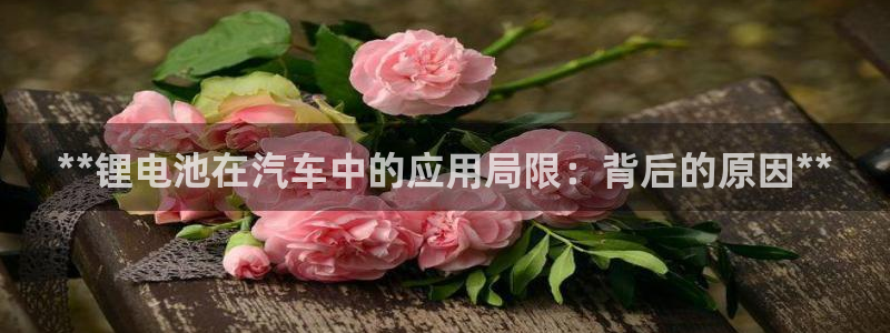 优发国际客服联系方式是什么