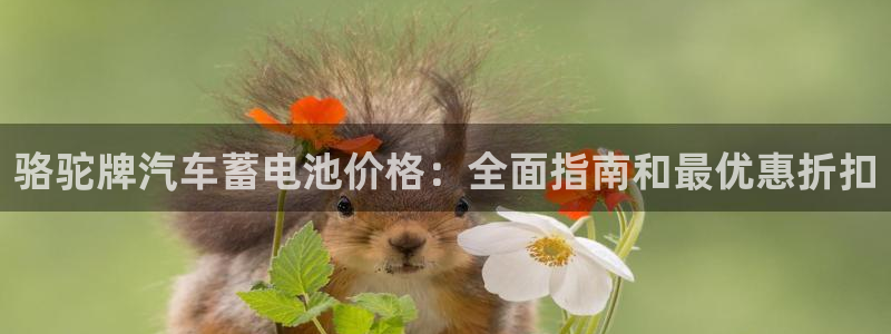 优发国际娱乐官网多少?