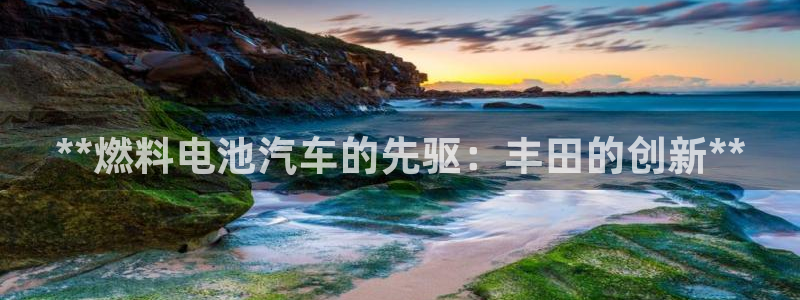 优发国际安卓版下载安装