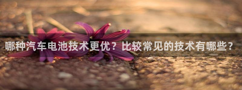 优发国际bob