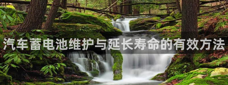 优发国际客服联系方式电话