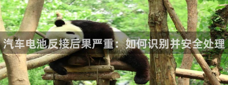 优发国际这个平台怎么样可靠吗