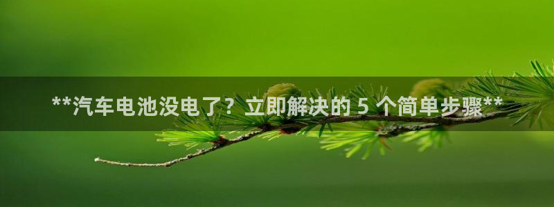 优发国际是大平台吗：**汽车电池没电了？立即解决的 5 个简单步骤**