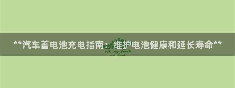 优发国际网官网17q8：**汽车蓄电池充电指南：维护电池健康和延长寿命**