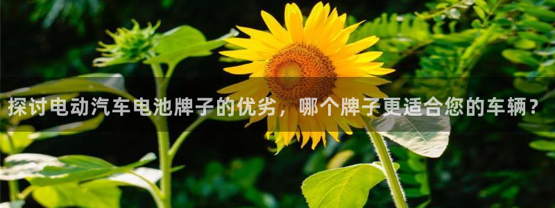 优发国际手机版唯一官网下载：探讨电动汽车电池牌子的优劣，哪个牌子更适合您的车辆？