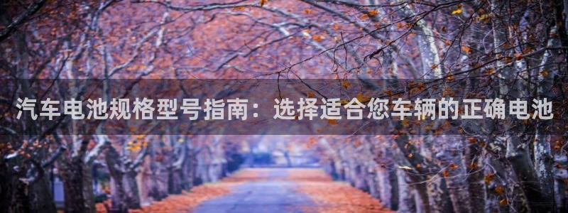 优发国际首页首页登录：汽车电池规格型号指