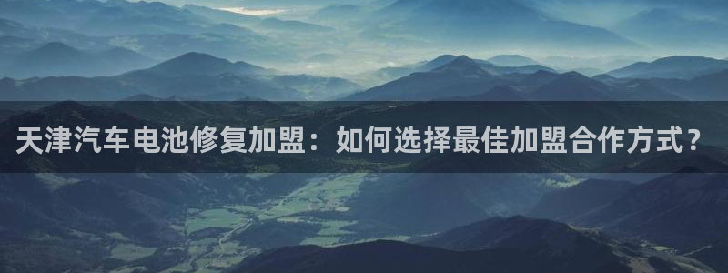 优发国际游戏官网：天津汽车电池修复加盟：
