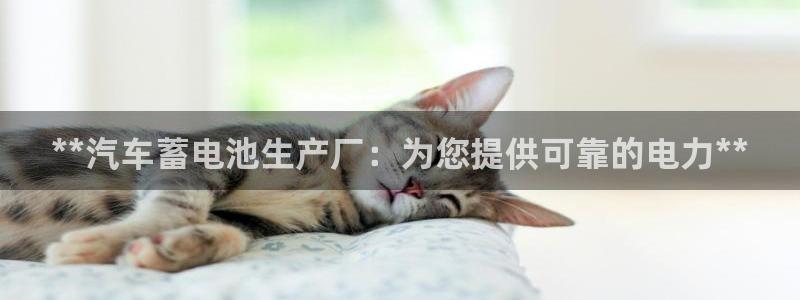 优发国际手机客户端官网下载：**汽车蓄电