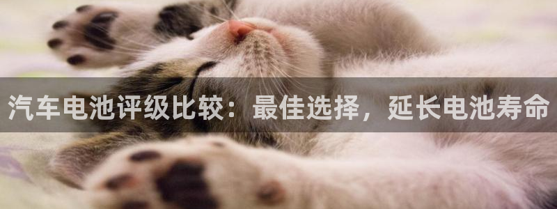 优发国际安卓版下载安装教程：汽车电池评级比较：最佳选择，延长电池寿命